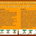 Diferencias Entre Darwin Y Lamarck