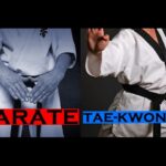 Diferencias Entre Karate Y Taekwondo