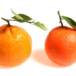 Diferencias Entre Mandarinas Y Clementinas
