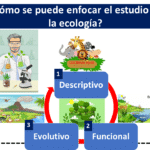 Definición De Ecología.