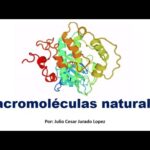 Definición De Macromoléculas Naturales.